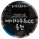 세이지우드 CC 홍천 이미지