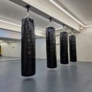 스타복싱클럽 이미지