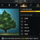 로아