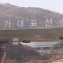 선수촌 중앙일보