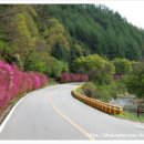 비룡민박 이미지