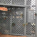 쁠랑뜨 - 제주시 1100로 2977-15 | 쁠랑뜨