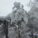 “내 안에 주님이 계십니다. 주님은 나의 주인이십니다. 오늘도 나는 주님을 나타내는 그릇으로 살아갑니다.” -오늘의 말씀-사순절,광야를 이미지