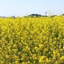 읍내삼거리 이미지