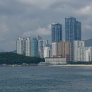 송정광어골로 Daum카페