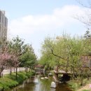 상동시민의강 이미지