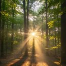 복음세탁소 이미지