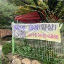 큰소나무민박 이미지