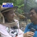 꿀벌생태관 Daum카페
