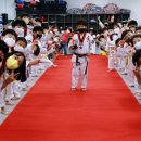 라이온 태권도 이미지