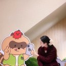 내후사마을회관 | [부산카페] 광안리 카페 타코야끼 맛집 나뭇잎마을 광안리점 내돈내산 후기