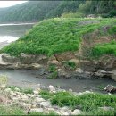 낙동강제방(3) 이미지