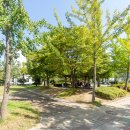 서항근린공원 이미지