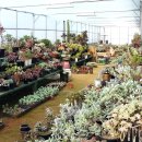 오현농장 이미지