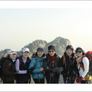 비봉농원 이미지