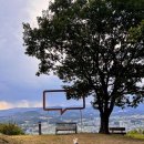 순수목장 이미지