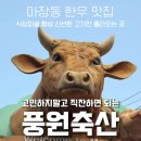 풍원상회 이미지