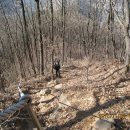 상천초등학교 이미지