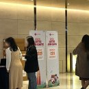 (주)코리아세븐 가리봉2호점 | 2023 서울 LOTTE Job Cafe 후기