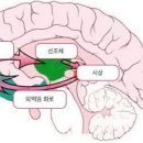 불안장애 원인 이미지