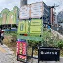 가야대학교(고령) 이미지