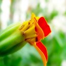 들꽃향기 이미지