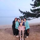 오쫄들~무안 장성..(2026.5/23~25) 이미지