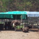 동보농장 이미지