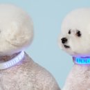 (주)네오팝 이미지