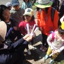 왕왕작작 이미지