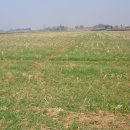 기찬농장 이미지