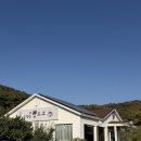 송정동핫도그봉하점