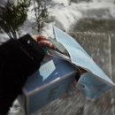 성심탕 | 대전 빵맛집 하레하레 꿀팁정리 빵나오는시간 웨이팅 크림치즈딸기타르트 후기 또간집 대전