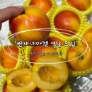 싼재네마켓 옐로드림 천도복숭아 후기! 망고향 가득한 특별한 복숭아