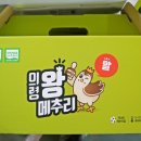 의령메추리농장