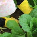 홍보농장 이미지