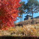 용연공원(도로변) | 수원나들이｜화성행궁 방화수류정 억새 효원공원 월화원 단풍 보러 다녀왔어요