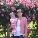 베트남 하우양 이미지