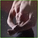 에스엘짐 PT | 신림역 헬스 고운짐, 호텔급 시설과 맞춤 PT 경험 후기