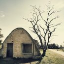 창만목장 이미지