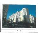 구평동-19 이미지