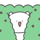 다이소 대신시장점 이미지