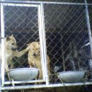 건강월드 이미지