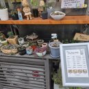 정성다믐 이미지