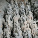 화산여행사