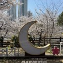 시청별관앞 꽃보라동산 이미지