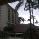 하와이에서의 첫날과 우리가 있었던 엠버시 스위트호텔 전경 ...............(130편) 이미지