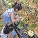 상남4리고석평마을 이미지