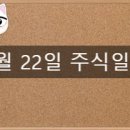 대양에스디