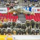 제일합기도 이미지